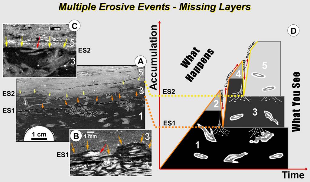 figure that shows how bioturbation can be used to detect erosion surfaces in shales