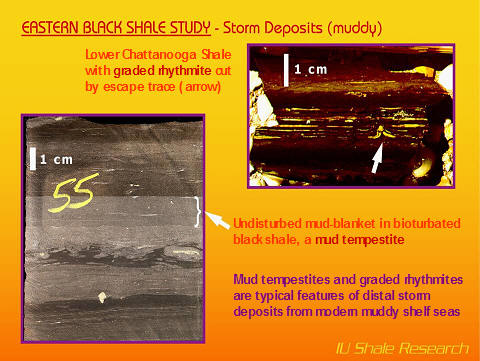 i,ages of storm layers - tempestites - in Chattanooga shale