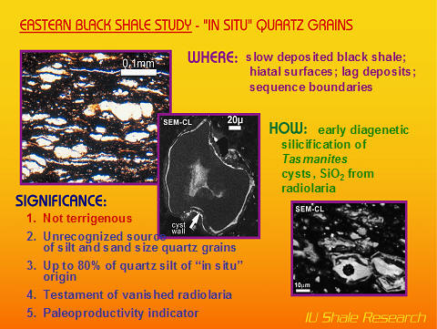 images of in situ produced quartz sand grains - as infills of algal cysts
