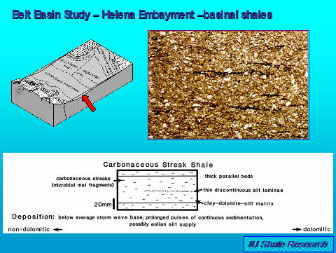 summary image of basinal facies in eastern belt basin